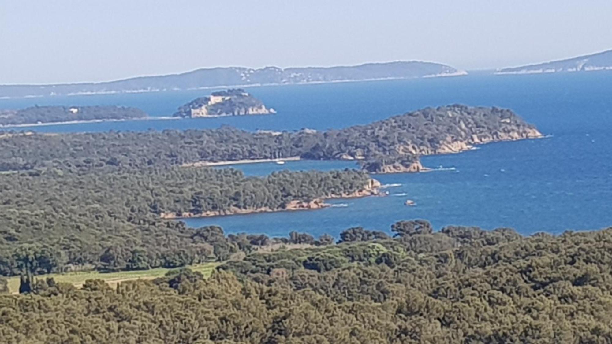 Rez De Jardin T3 Recent Et Calme Au Nouvelles Terres A La Londe Les Maures Apartment Екстериор снимка