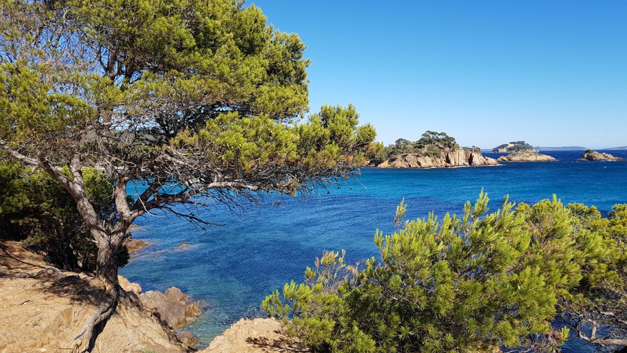 Rez De Jardin T3 Recent Et Calme Au Nouvelles Terres A La Londe Les Maures Apartment Екстериор снимка