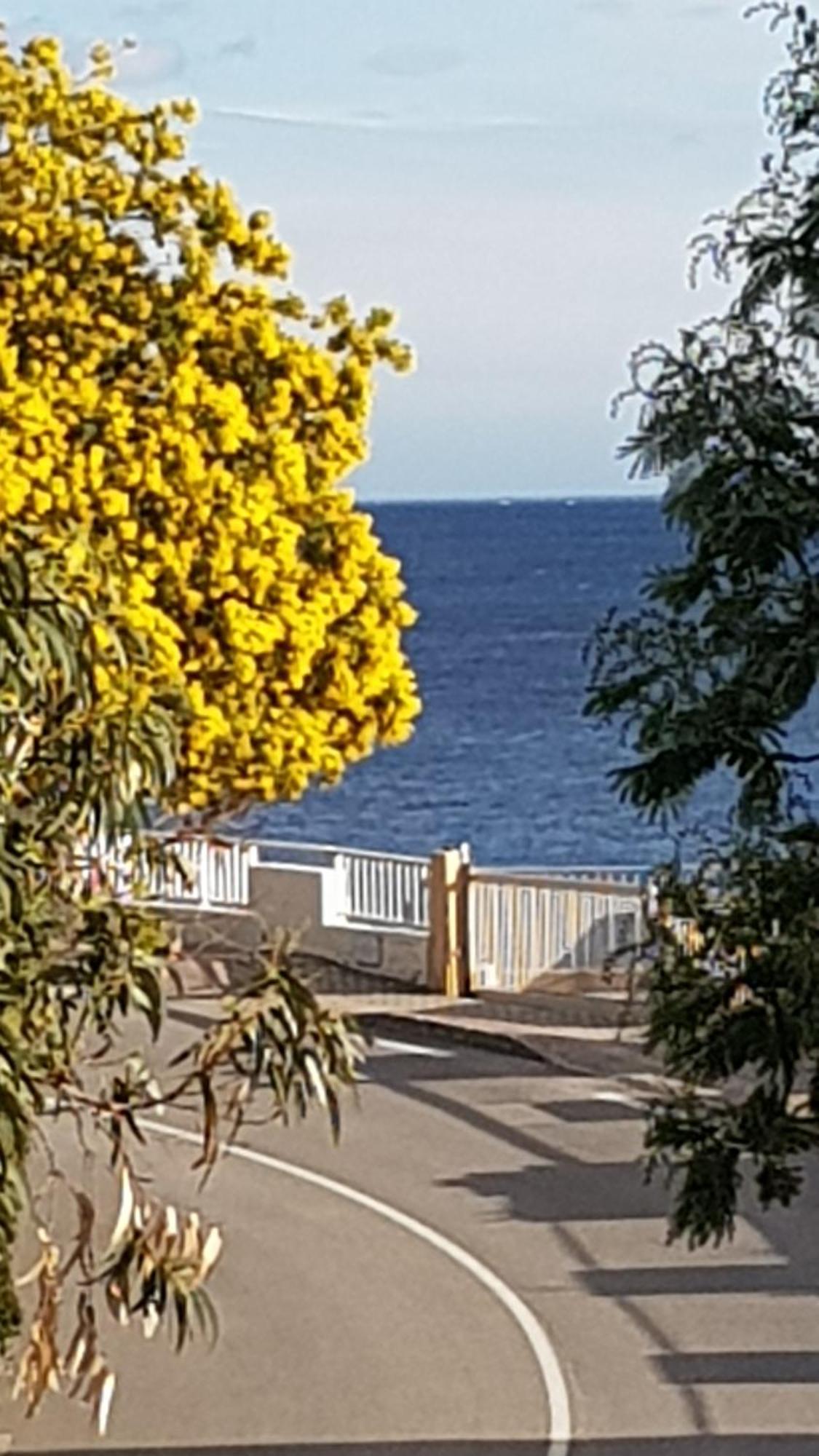 Rez De Jardin T3 Recent Et Calme Au Nouvelles Terres A La Londe Les Maures Apartment Екстериор снимка