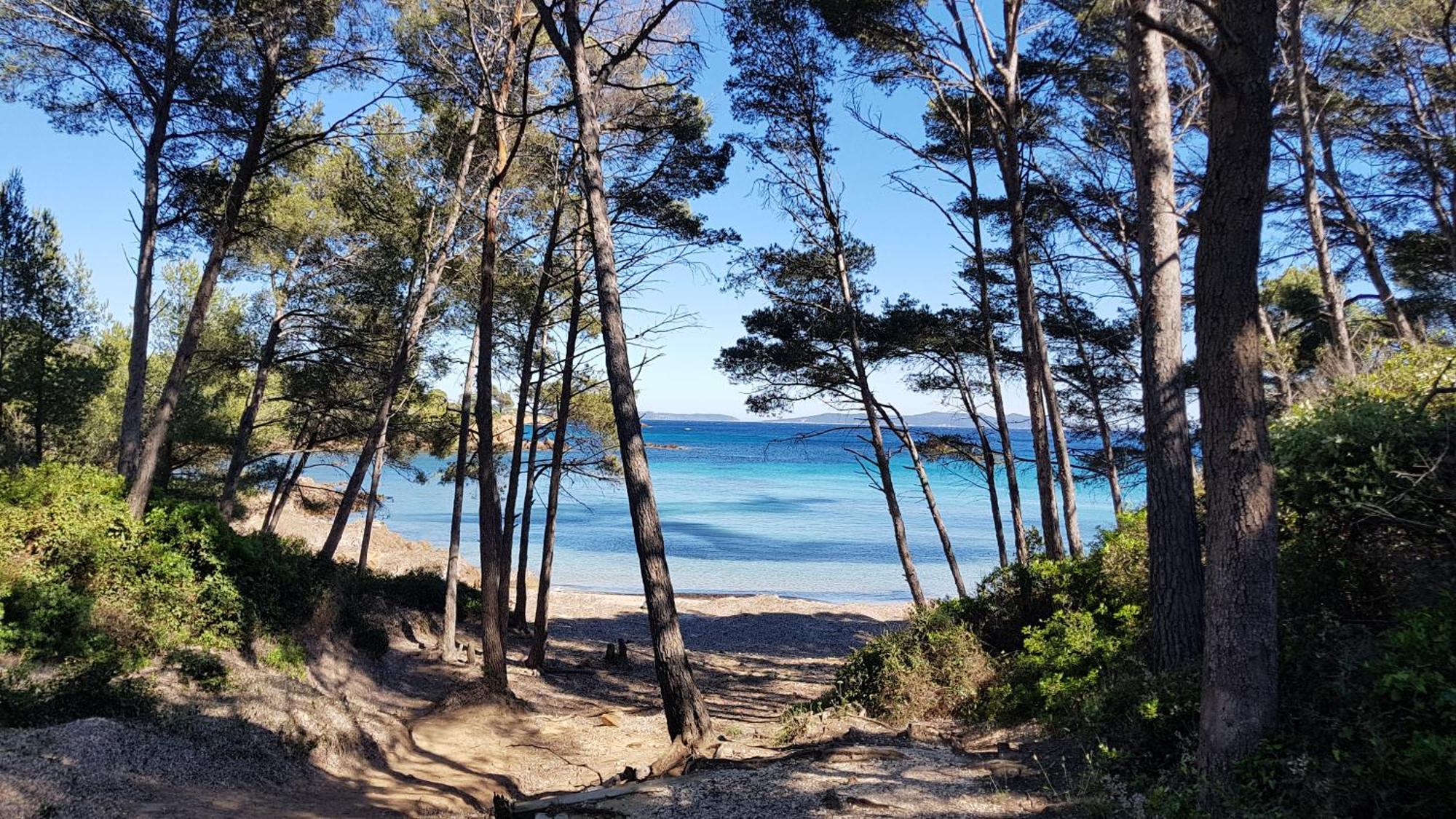 Rez De Jardin T3 Recent Et Calme Au Nouvelles Terres A La Londe Les Maures Apartment Екстериор снимка