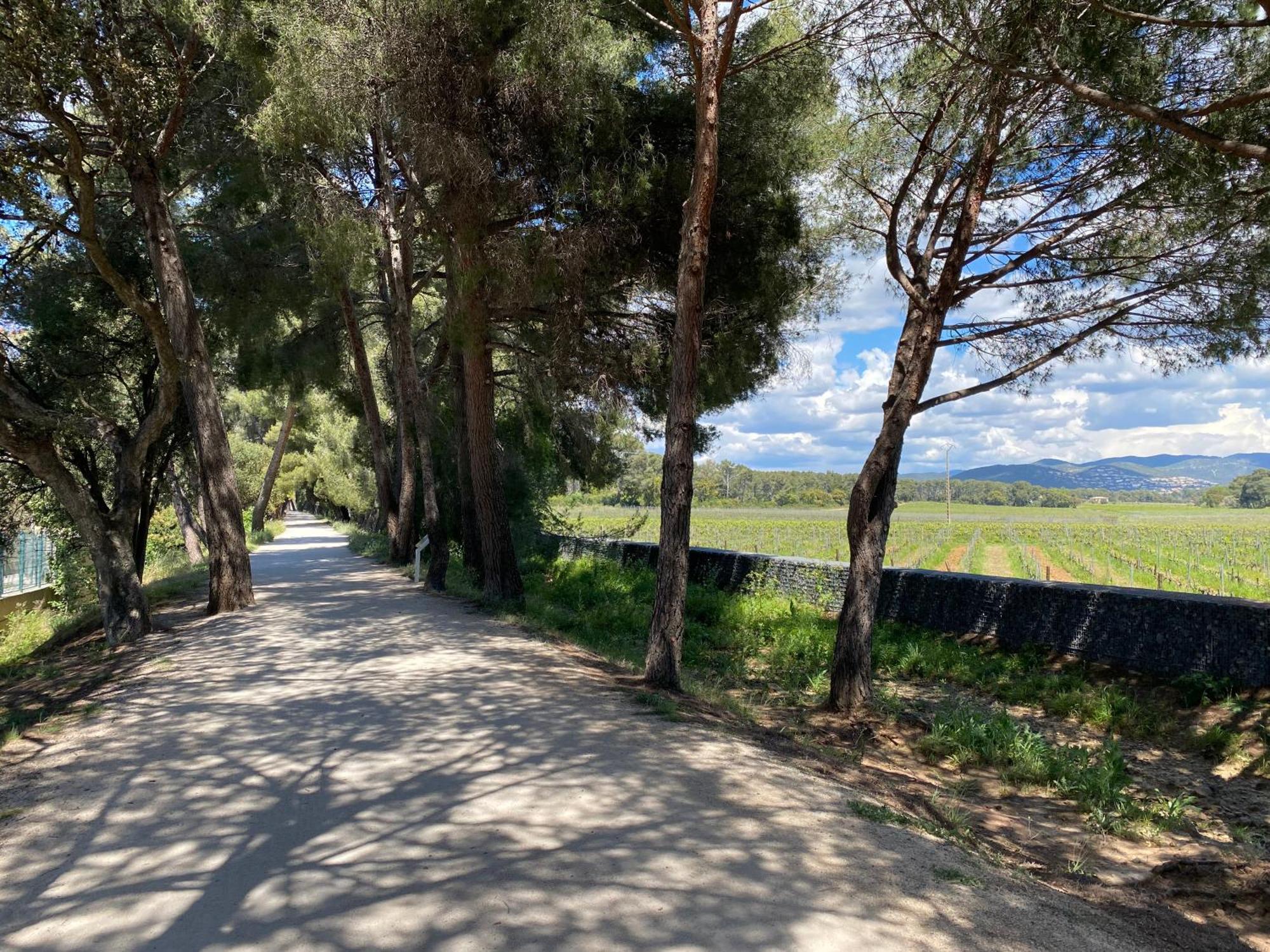 Rez De Jardin T3 Recent Et Calme Au Nouvelles Terres A La Londe Les Maures Apartment Екстериор снимка