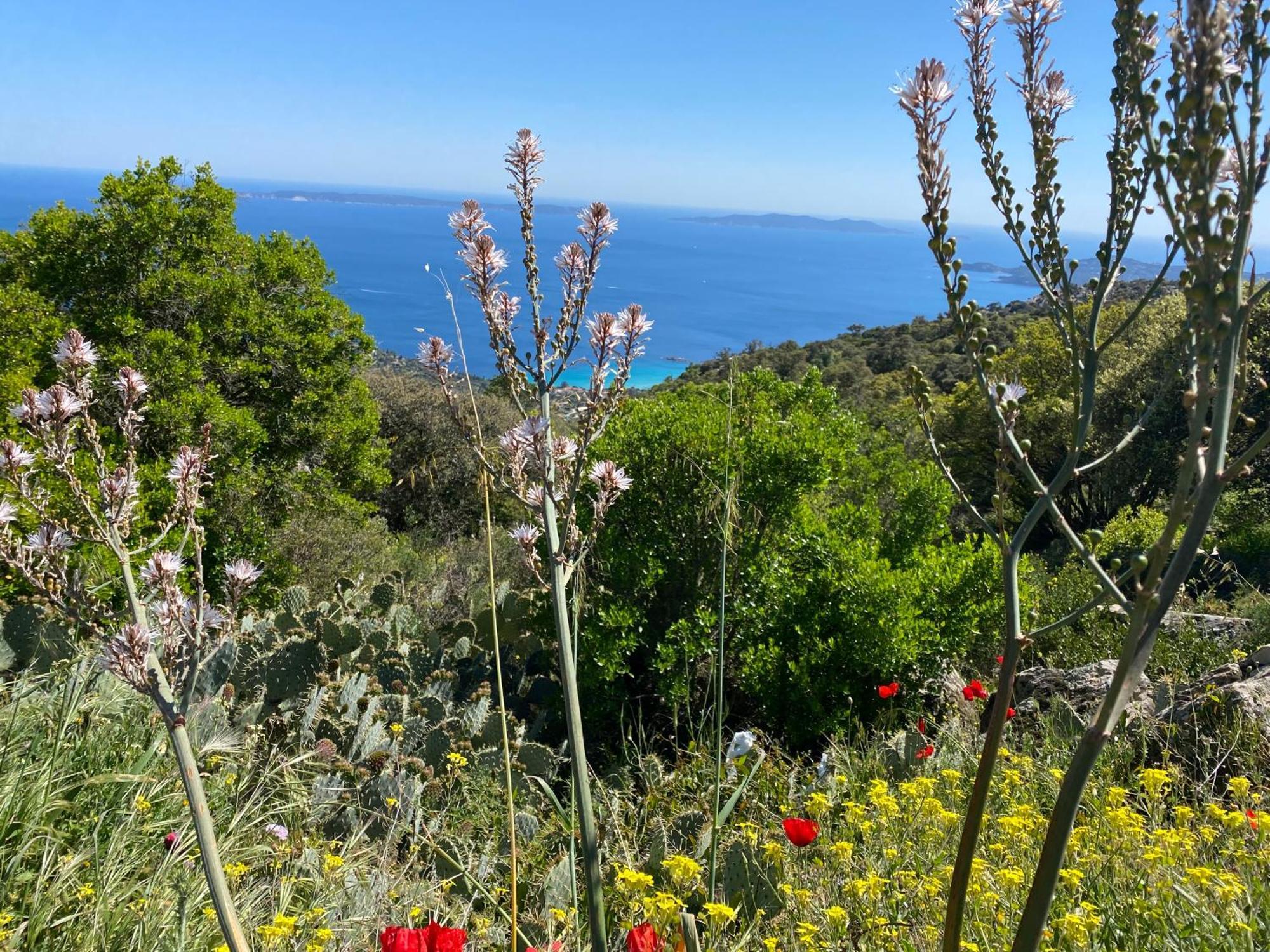 Rez De Jardin T3 Recent Et Calme Au Nouvelles Terres A La Londe Les Maures Apartment Екстериор снимка